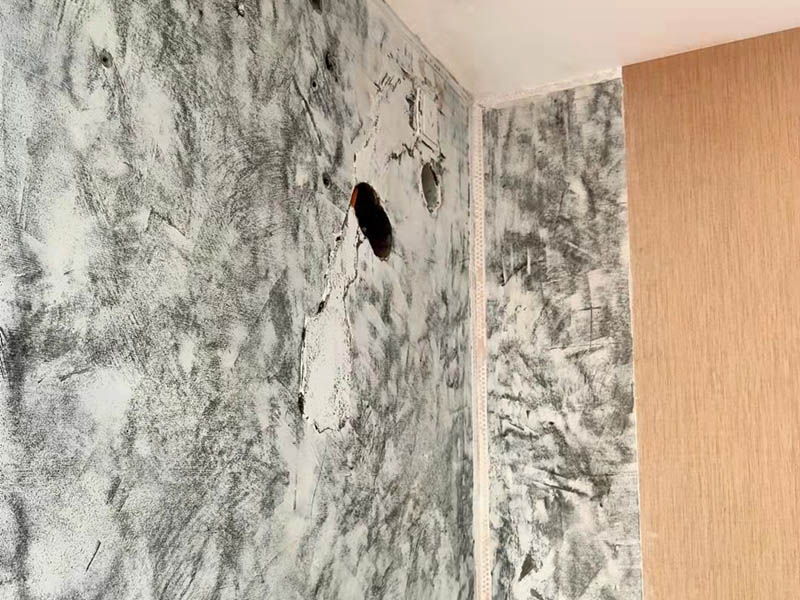 墻面受潮發霉起皮了怎么處理？