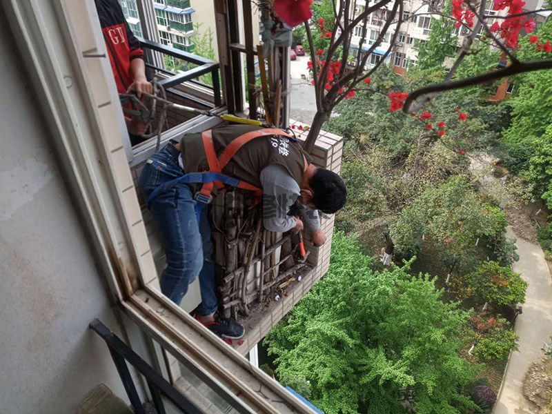 濟南歷城區(qū)陽臺植物清理(圖1)
