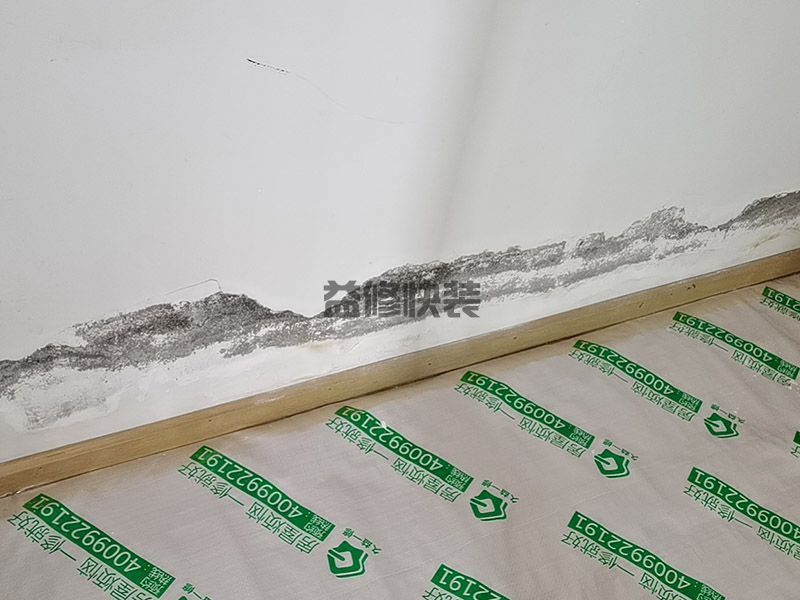 客廳墻面瓷磚裝修用什么瓷磚好,一般實物與圖片顏色一致(圖3)