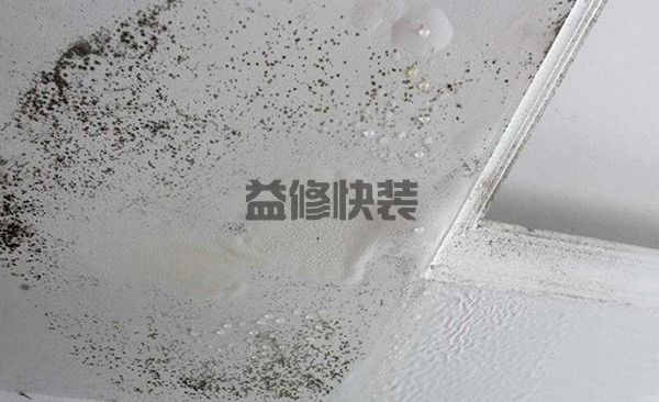客廳吊頂發霉難看怎么辦，師傅告訴你處理方法(圖1)