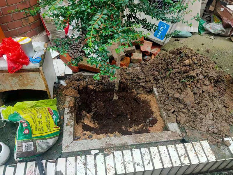 周口西華縣庭院植物防水維修,局部改造,防水補漏(圖3) 周口西華縣庭院植物防水維修,局部改造,防水補漏(圖3)